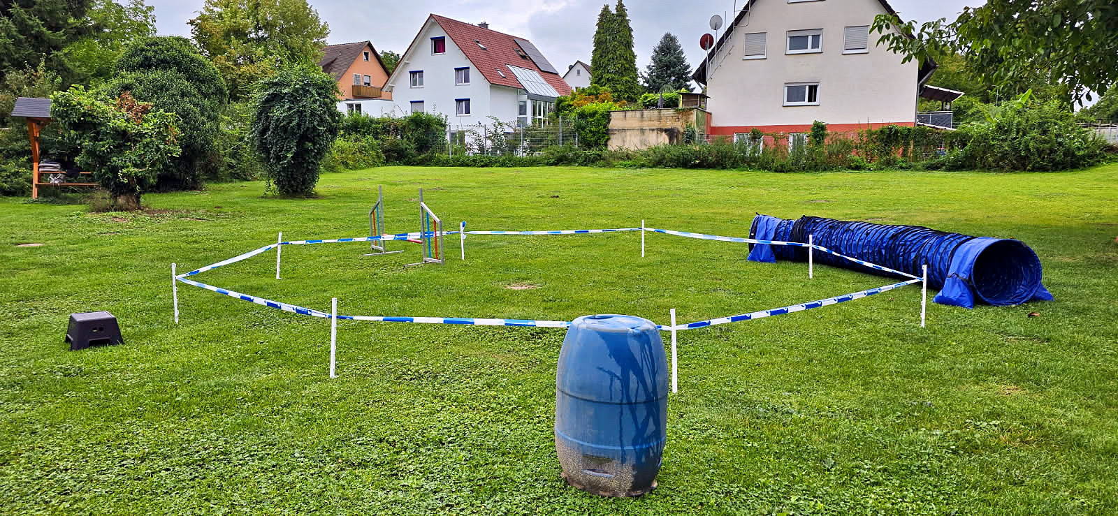 Longieren