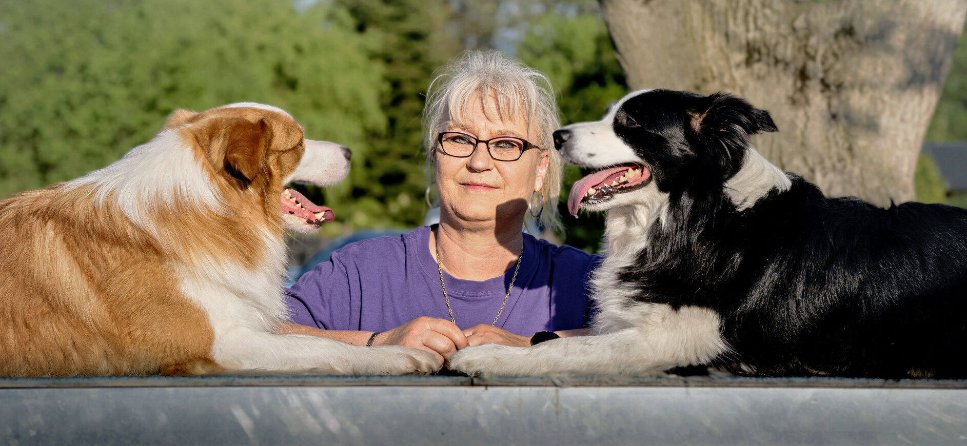 Hundeschule